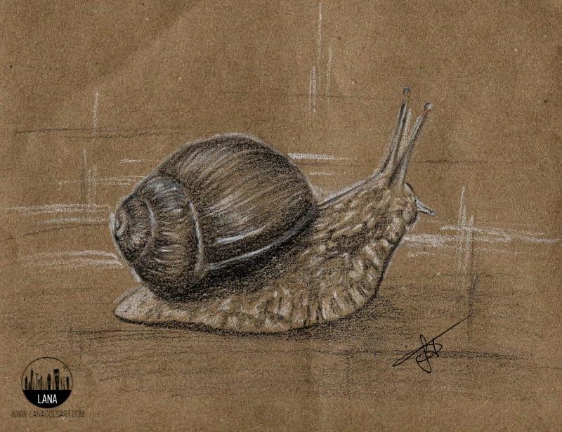 Snail 2