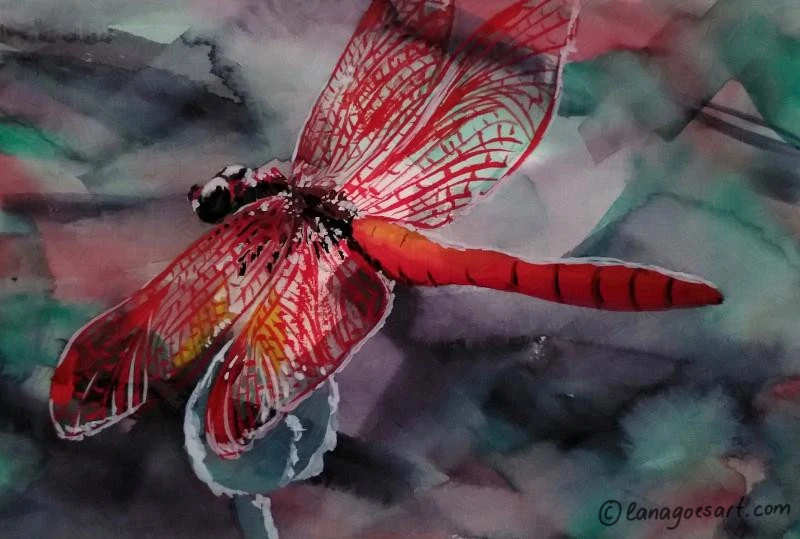 Dragonfly