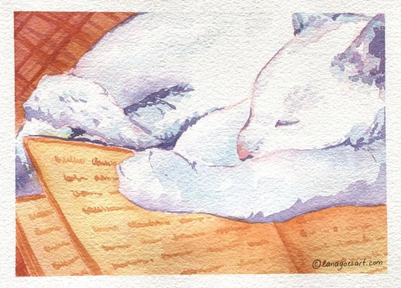 Cozy Library Kitten