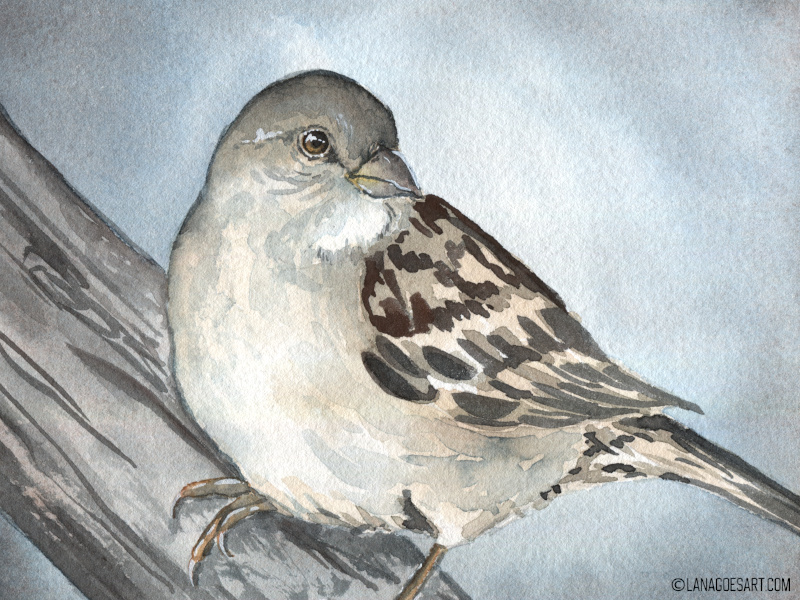 Tutorial: Fluffy Sparrow