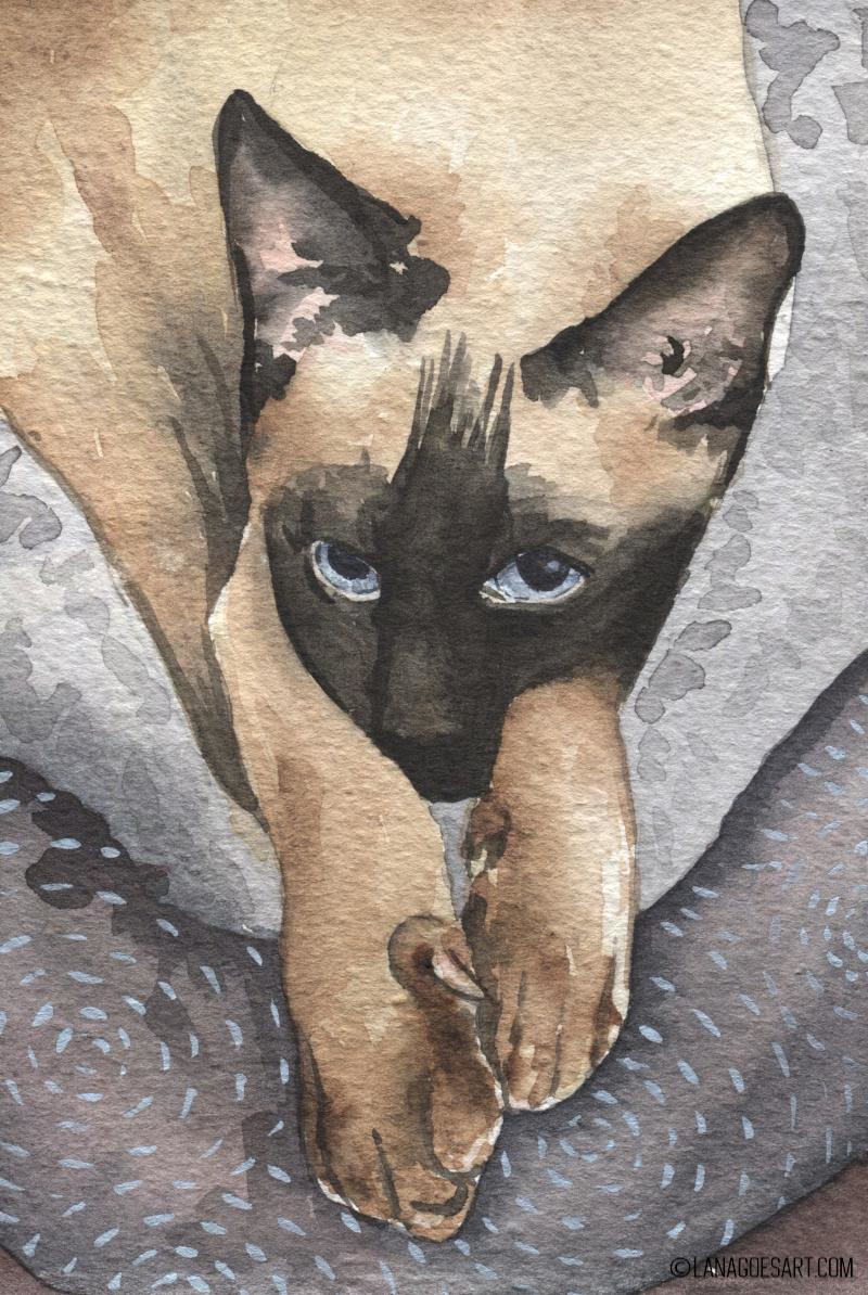 Siamese Unknown